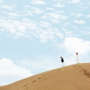 沙漠与纱_