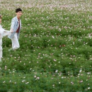 花微澜_深圳婚纱摄影