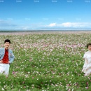 花微澜_深圳婚纱摄影