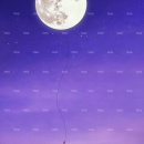 两个人的烟火_深圳婚纱摄影