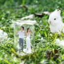 微距自然魅力_深圳婚纱摄影