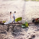 微距自然魅力_深圳婚纱摄影