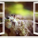 微距自然魅力_深圳婚纱摄影