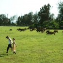 乡间小调_深圳婚纱摄影