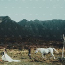 爱之旅_大理婚纱摄影