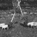 爱之旅_大理婚纱摄影