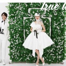 明星网红系列05_