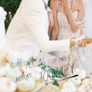 明星网红系列08_