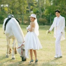 李先生&潘小姐_