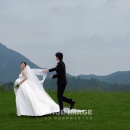 草坪婚纱2_婚纱