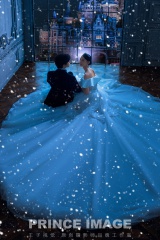 迪士尼公主夜景